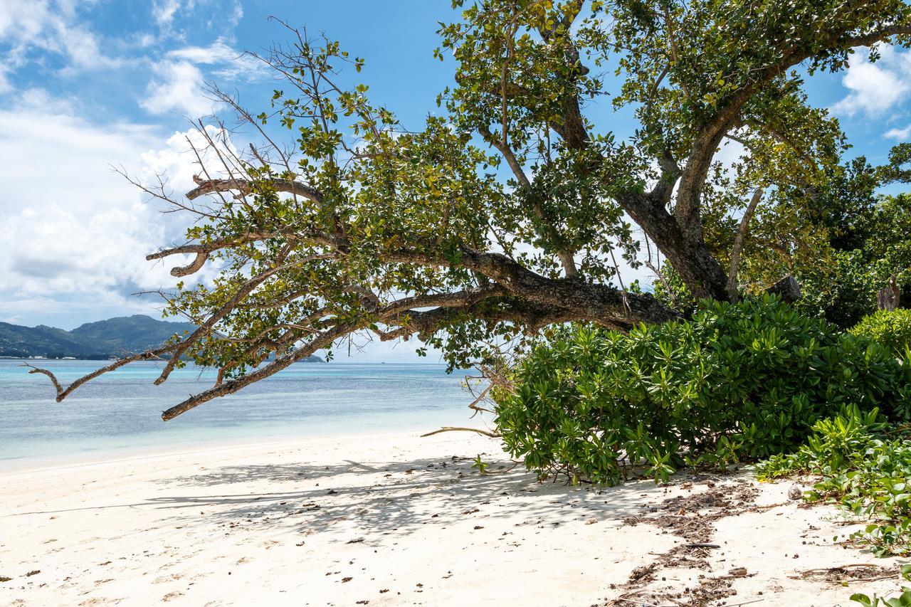 Surf Tropical Villa Seascape Isla de Cerf Exterior foto
